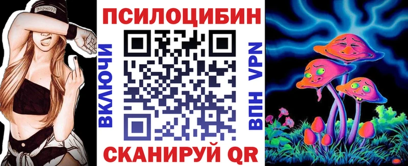 ссылка на мегу ONION  Сураж  Псилоцибиновые грибы мицелий 