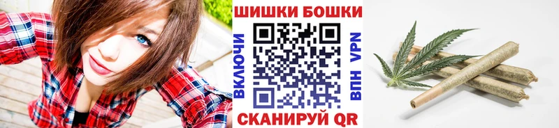 Марихуана OG Kush  Сураж 